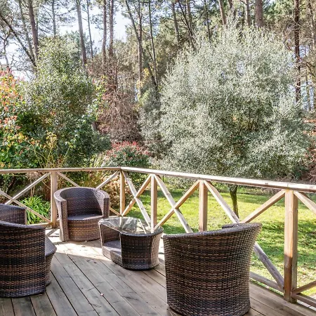 Avec Piscine Privee, Jardin Cloture Et Wifi A - Ideale Pour 6 Personnes - Fr-1-521-192 * Biscarrosse